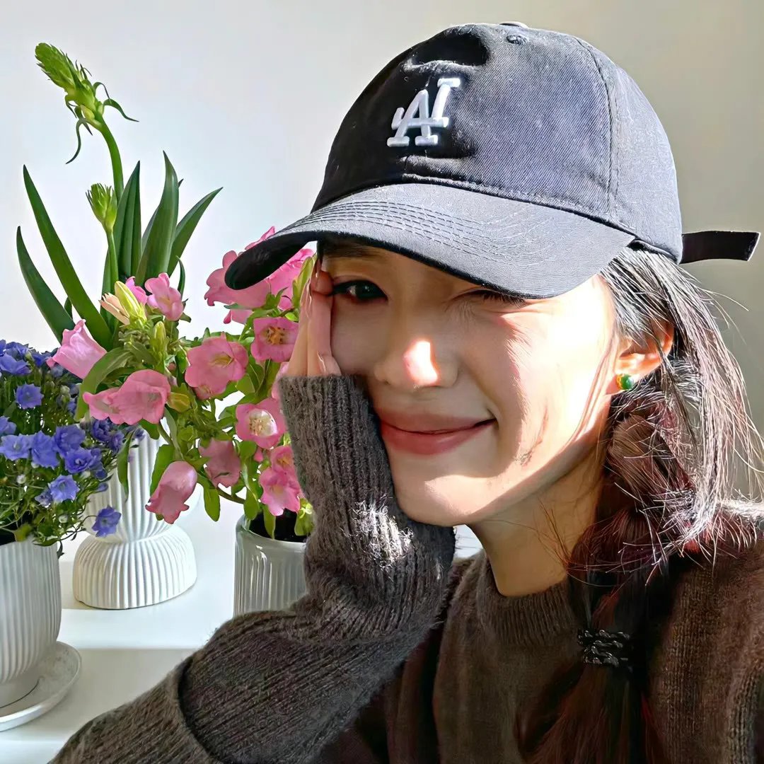 消失的皮箱